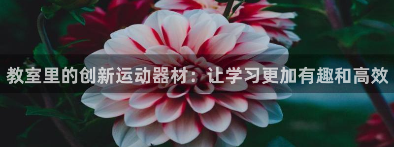 k1体育官网下载招商电话地址查询:教室里的创新运动器材:让学